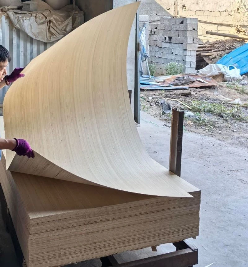 EV Poplar Veneer Plywood 2.5mm 3mm 3.6mm 5.2mm
