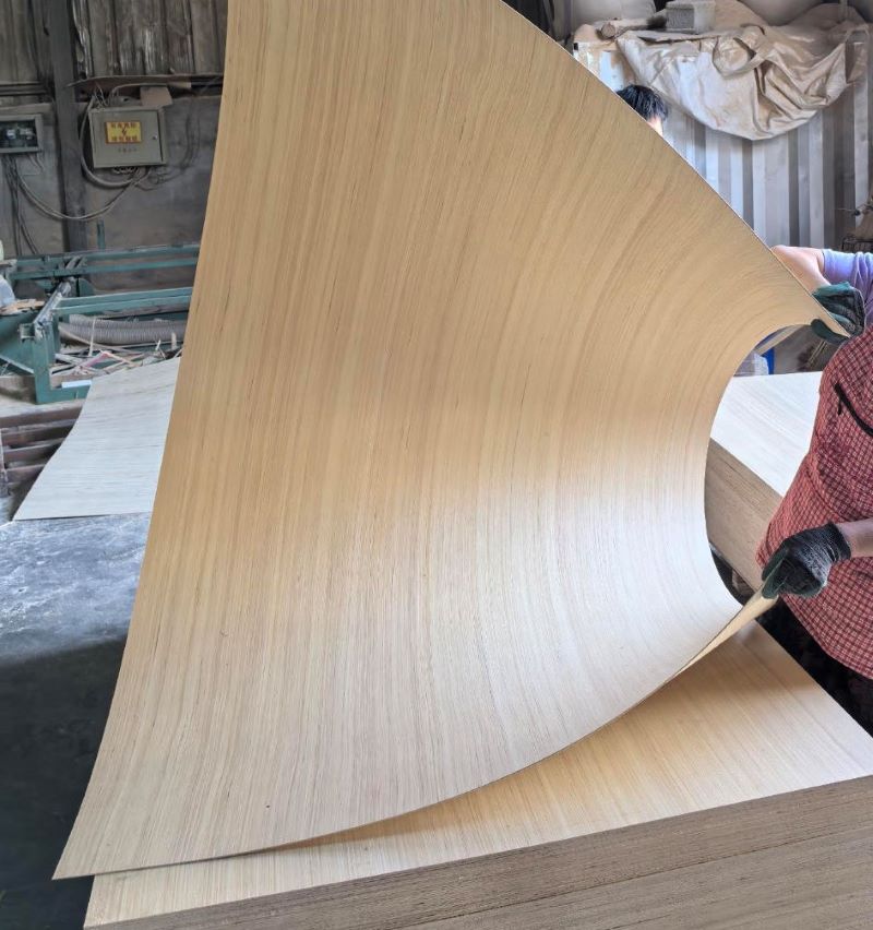 EV Poplar Veneer Plywood 2.5mm 3mm 3.6mm 5.2mm